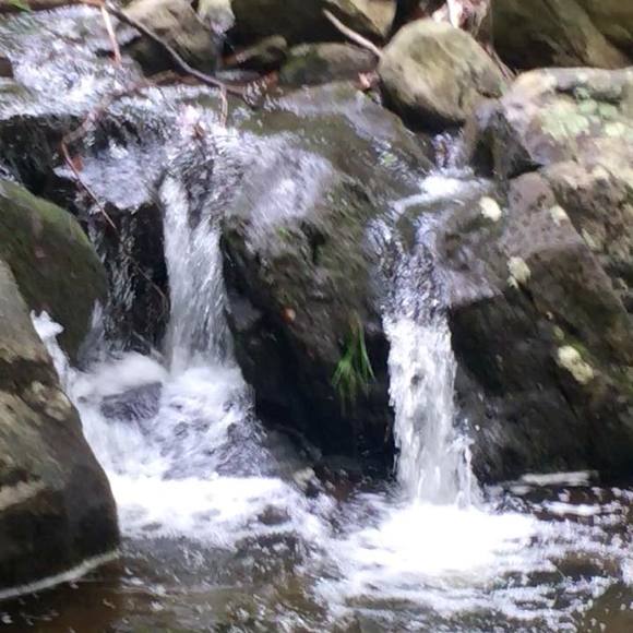 Meet your Posher, Debra - Picture 1 of 1